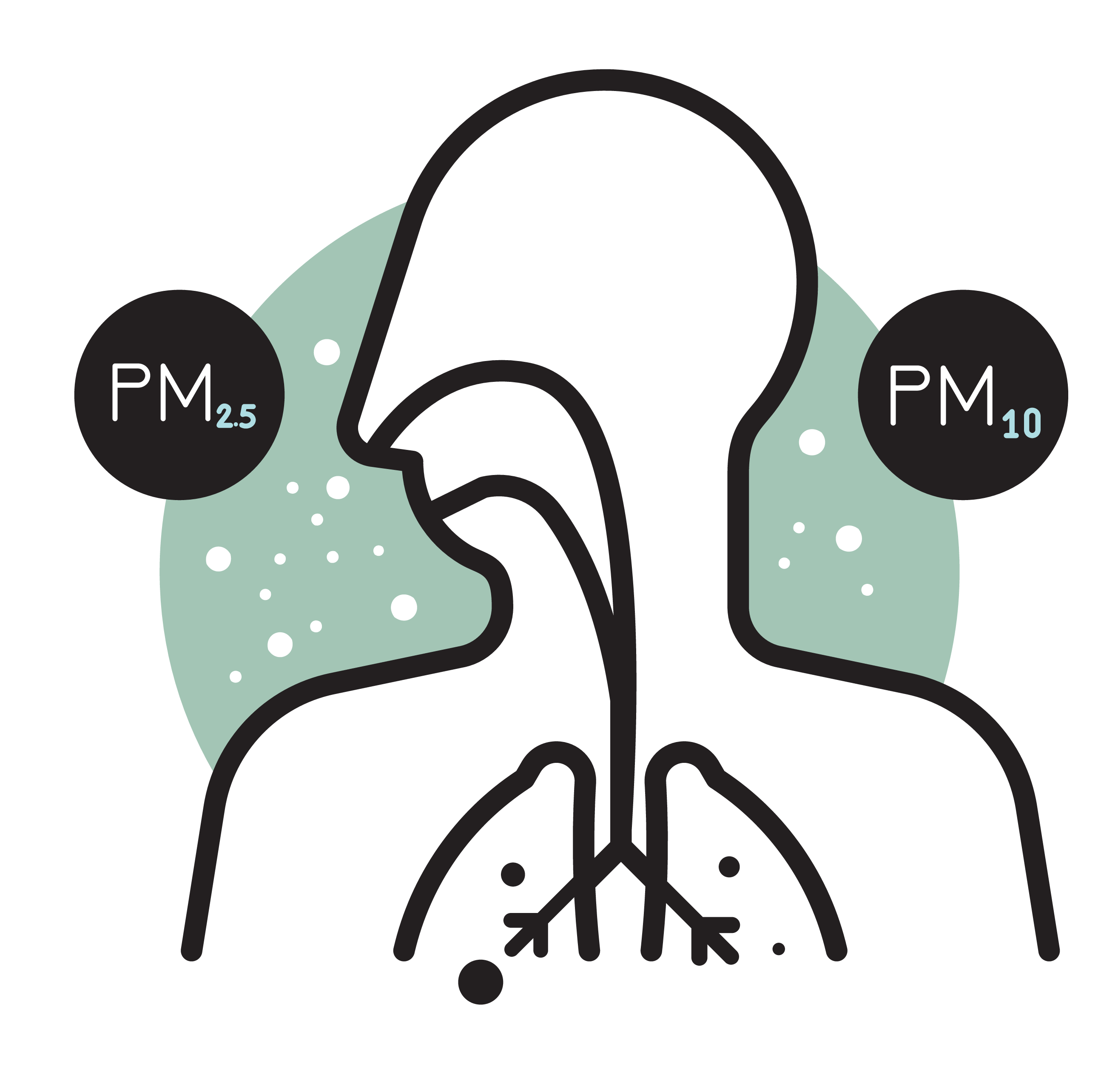 PM2.5 and PM10